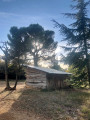 cabane