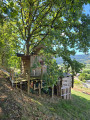 cabane