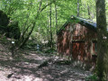 Cabane