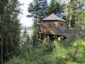Cabanes perchées dans les arbres