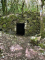 Cabotte
