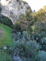 Vallon Sud du Plateau de la Caume après les crêtes et Mont Gaussier