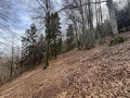 Le Baerenkopf depuis Rougemont-le-Château