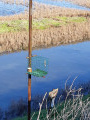 Cage pour canard appelant