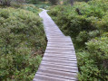 Sentier de découverte de la tourbière des Saisies