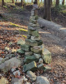 Wald von Tihange