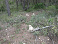 La Sierra de la Grana en boucle au départ de la Torre de les Maçanes