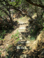 Cala d'en Bosc