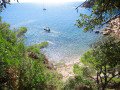 Cala d'en Bosc