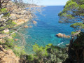 Cala dels Musics