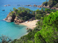 Cala del Canyets - Cala d'en Bosc