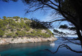 Cala murta