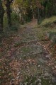 calade après Chomeil