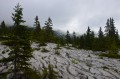 Vercors : Boucle du sentier central, par le GR®91 et le Bacha de l'Ours