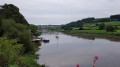 Calstock viaduct