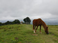 Calvaire d'Ainhoa