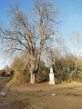 Calvaire sous le marronnier