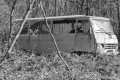 Camionnette reprise par la forêt