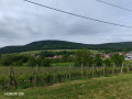 Campagne autour d'Orschwihr