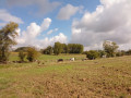 Dans la campagne au Nord-Ouest de Soignies