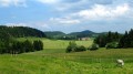 Campagne comtoise