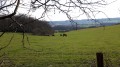 Autour de Laillé Autour de Laillé