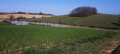 Campagne de St Martin