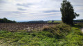 campagne de Ste Foy campagne de Ste Foy