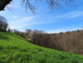 Campagne du Ségala