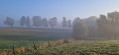 Campagne embrum&eacute;e