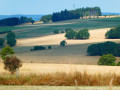 Dans le Parc naturel des deux Ourthes au départ de Compogne