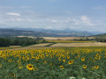 Dans la campagne vicomtoise Dans la campagne vicomtoise