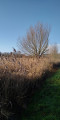 campagne campagne