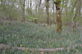 campagne