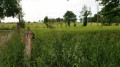 Campagne