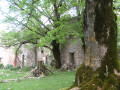 Campeau