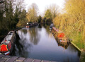 Canal boats at Startop End