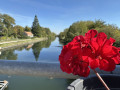 Canal de l'Escaut