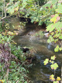 Canal de l’Herrétang