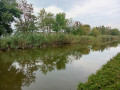 Canal des Houillères de la Sarre
