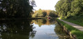 De Fontenay à Montargis par le canal et la forêt