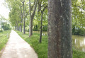 Canal du Midi