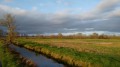 canal et marais audubon