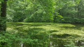 Aux alentours du confluent de la Marne et du Grand Morin Aux alentours du confluent de la Marne et du Grand Morin