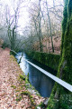 Le canal de Champagney