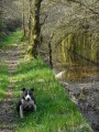 Canal Canal