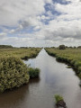 La Brière entre Sandun et Saint-André-des-Eaux