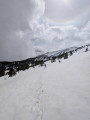 Canigou