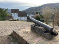 Schloss Hirschhorn und Blick auf den Neckar