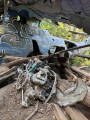 Canso Plane Crash Site